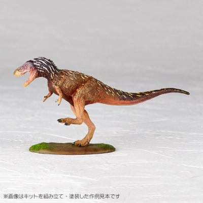 ARTPLA 研究员和霸王龙套装