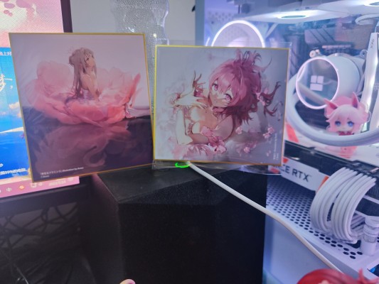 火烈鸟芭蕾舞团 红发女孩