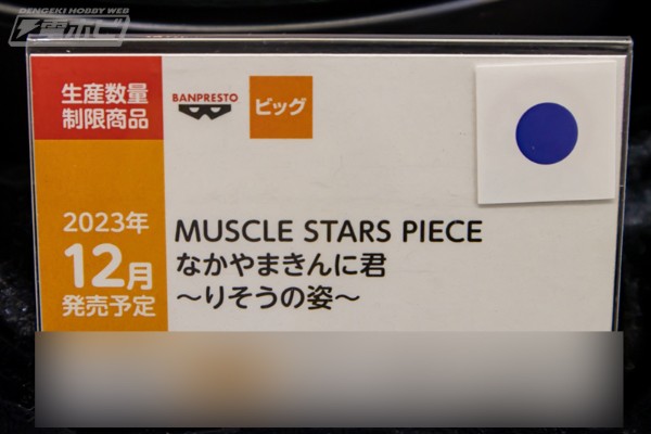 MUSCLE STARS PIECE  中山肌肉君（中山翔二）~理想中的身形~