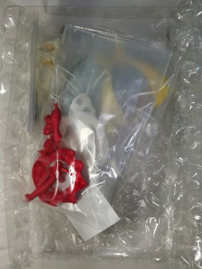 CharaGumin 失落的宇宙 凯娜儿·沃菲德