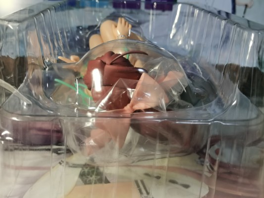 漫画同人会 高濑瑞希 水着Ver.2 