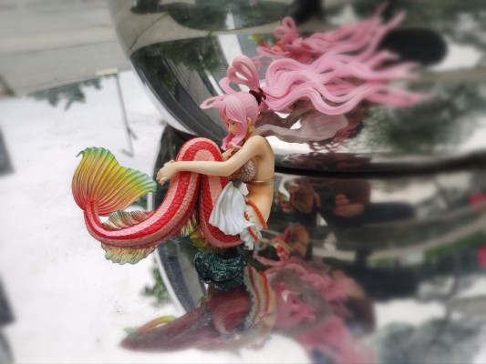 SCultures 航海王 白星
