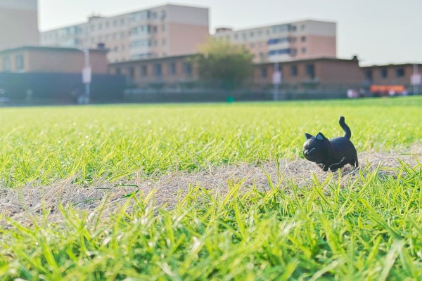 喵喵满袋 摇摆铃铛 第一弹