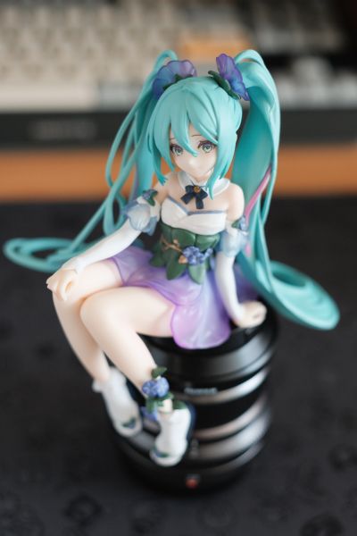压泡面 初音未来 牵牛花仙子
