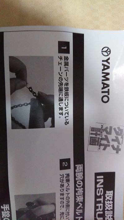爆弹计划 #1 一骑当千 Dragon Destiny 关羽云长 初回限定版
