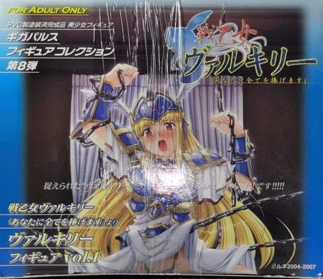 战乙女瓦尔基里 莱娅 Vol.1