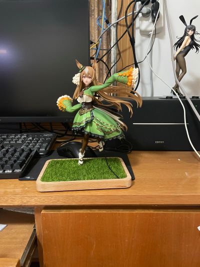赛马娘 里见光钻