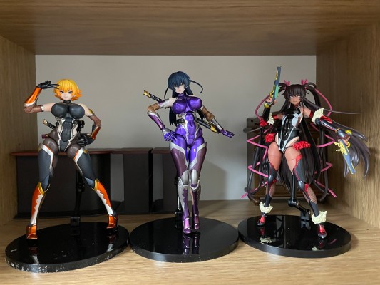 HENTAI ACTION 对魔忍阿沙姬３ 井河樱专用配件套装