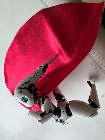 figma#125 火球 魅力之章  多罗丝赛露