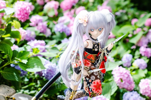 Dollfie Dream DD 纯白交响曲 瓜生樱乃