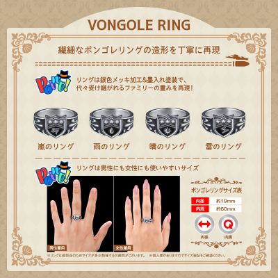 家庭教师 Special Memorize 彭格列匣子+彭格列指环(狱寺隼人／山本武／屉川了平／蓝波）
