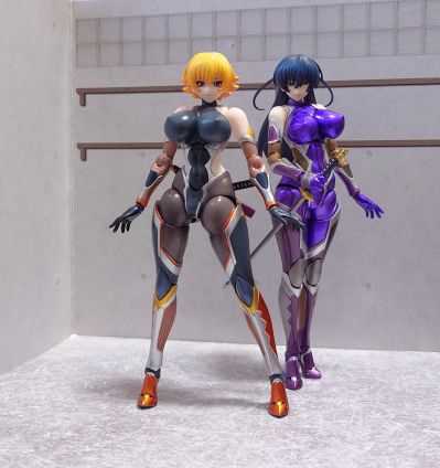 HENTAI ACTION 对魔忍阿沙姬３ 井河樱专用配件套装