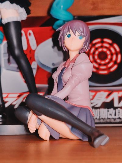 伪物语 ひたぎ＆翼フィギュア 战场原黑仪 