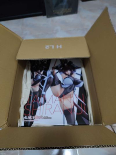 对魔忍雪风2 水城不知火 拘束
