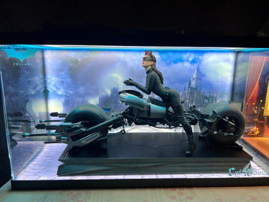 DC系列 蝙蝠侠：黑暗骑士崛起 猫女 全身像