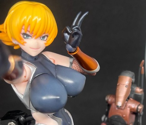 HENTAI ACTION 对魔忍阿沙姬３ 井河樱专用配件套装