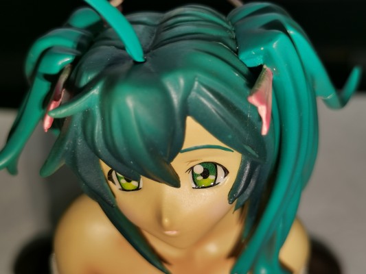 一骑当千 呂布奉先 DVD裏ジャケット スケシャツver. 