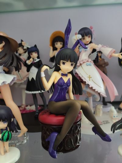 我的妹妹不可能那么可爱 五更瑠璃 黒猫 泳装