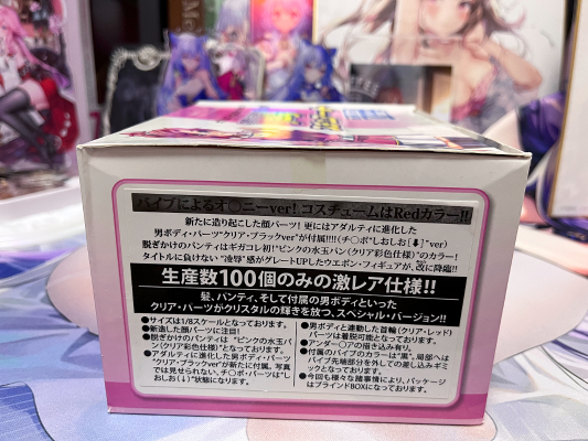 凌辱ゲリラ狩り3 ノーラ・スチュアート DX Aタイプ A Type 
