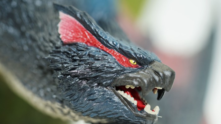 CFBCM 怪物猎人系列 迅龙