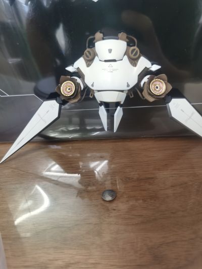 战双帕弥什 丽芙·仰光