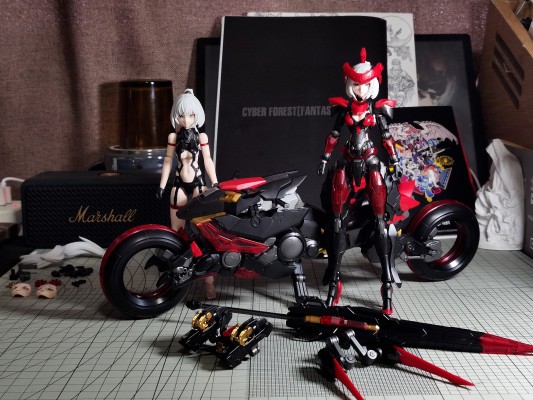 赛博森林 战争之影 叶芙娜·马尔基娜