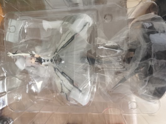 战双帕弥什 丽芙·仰光