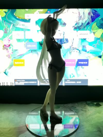 创神的阿尔斯马格纳 纳姆塔 泳装ver.