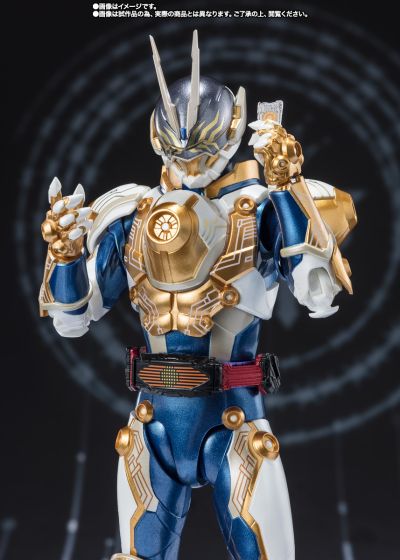 S.H.Figuarts 假面骑士极狐 假面骑士谛睨