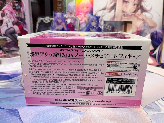 凌辱ゲリラ狩り3 ノーラ・スチュアート DX Aタイプ A Type 