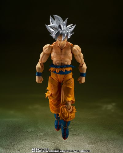 S.H.Figuarts  孙悟空 自在极意功 -丰太郎版-