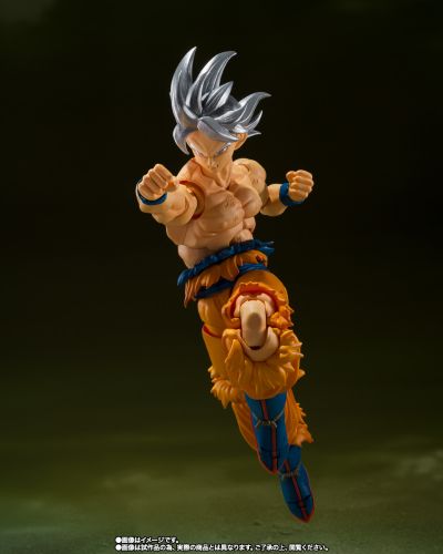 S.H.Figuarts  孙悟空 自在极意功 -丰太郎版-