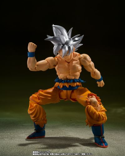S.H.Figuarts  孙悟空 自在极意功 -丰太郎版-