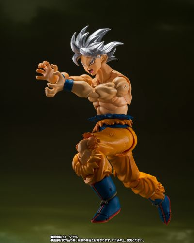 S.H.Figuarts  孙悟空 自在极意功 -丰太郎版-