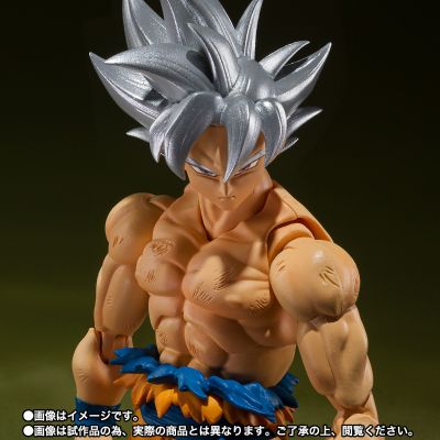 S.H.Figuarts  孙悟空 自在极意功 -丰太郎版-