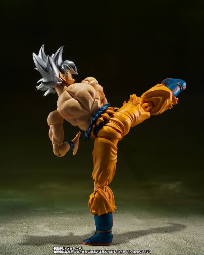 S.H.Figuarts  孙悟空 自在极意功 -丰太郎版-