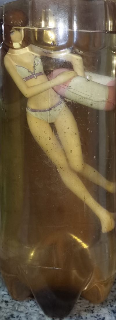 沙滩女王 IS〈无限斯特拉托斯〉 凰铃音 泳装