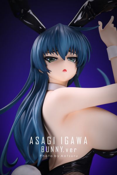 对魔忍系列 井河阿莎姬 兔女郎