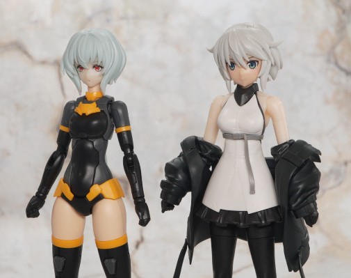 Figure-rise Standard  诺娃