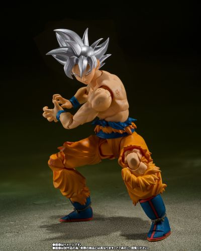 S.H.Figuarts  孙悟空 自在极意功 -丰太郎版-