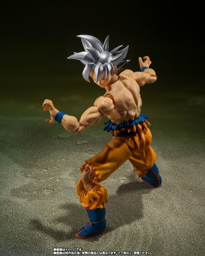 S.H.Figuarts  孙悟空 自在极意功 -丰太郎版-