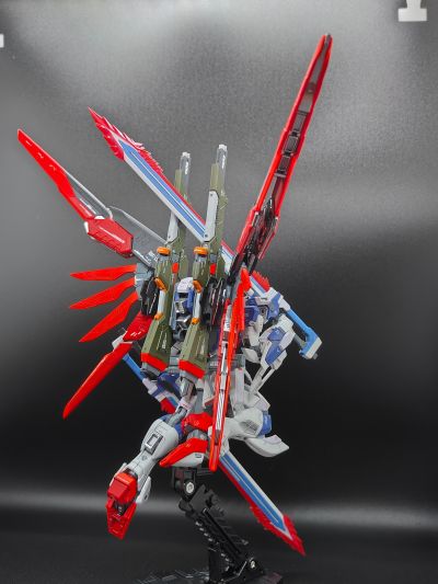 RG 1/144  命运脉冲高达