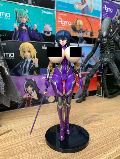 HENTAI ACTION 对魔忍阿沙姬３ 井河樱专用配件套装