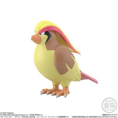 宝可梦比例世界 关都地区2