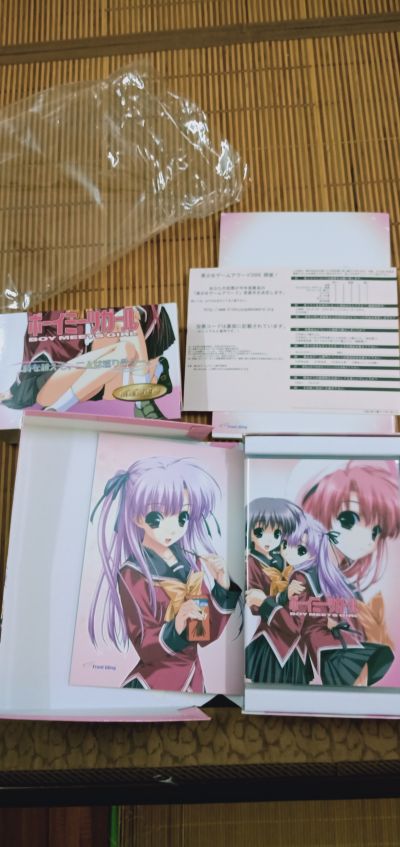 Boy Meets Girl 真行寺真央