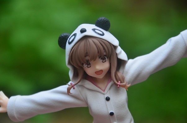 Coreful 青春猪头少年不会梦到兔女郎学姐 梓川枫