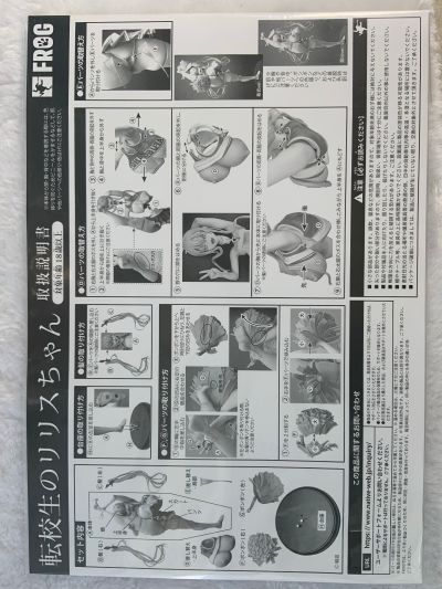 转校生莉莉丝