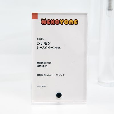 猫娘乐园 桂 赛车女郎