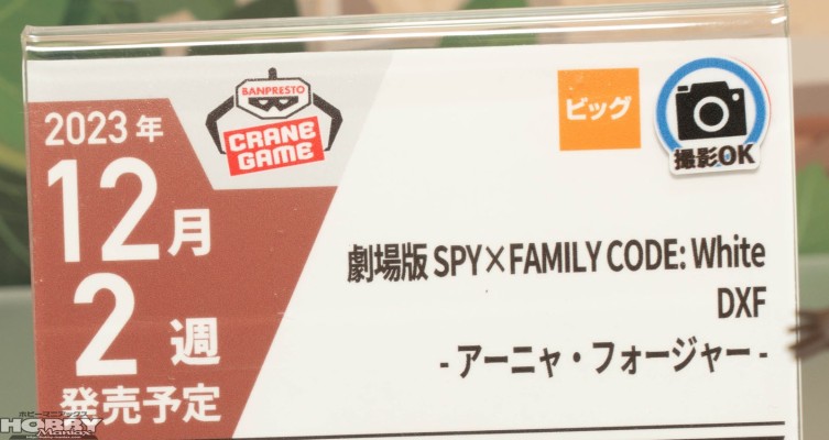 剧场版 间谍过家家 代号：白 DXF-约尔·福杰-