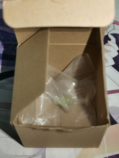 肉感少女 拉尼娜 追视眼